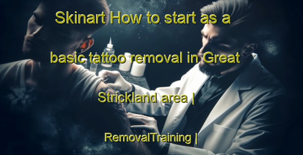Skinart How to start as a basic tattoo removal in Great Strickland area | RemovalTraining | RemovalClasses | SkinartTraining-United Kingdom